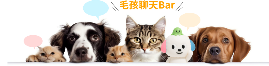 毛孩聊天BAR